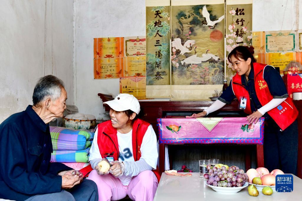 金冠官网的网址